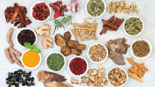 The Role of Adaptogens in Modern Wellness